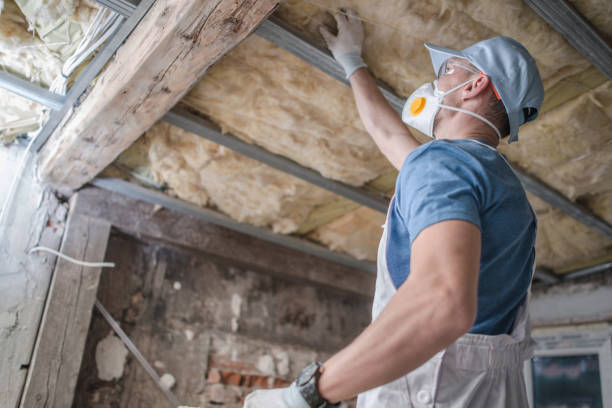 Best Insulation for Specific Applications in Lakeview, GA