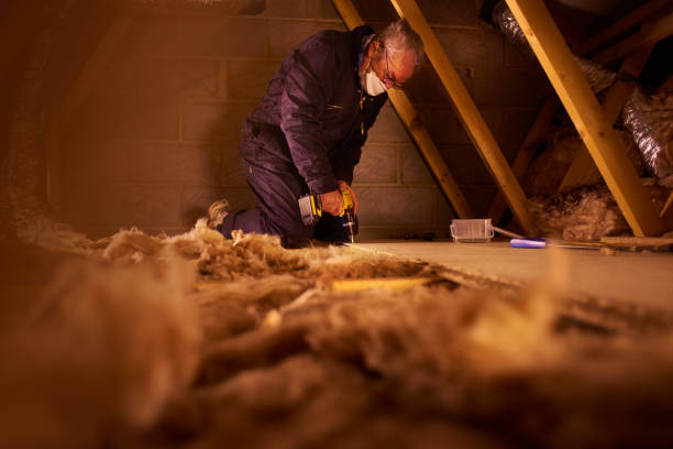 Best Insulation for Specific Applications in Lakeview, GA